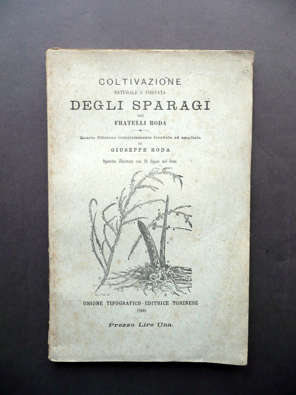 Coltivazione Naturale e Forzata degli Sparagi Fratelli Roda UTET Torino …
