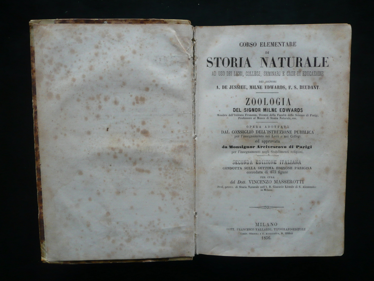 Corso Elementare di Storia Naturale Zoologia Milne Edwards Vallardi Milano …