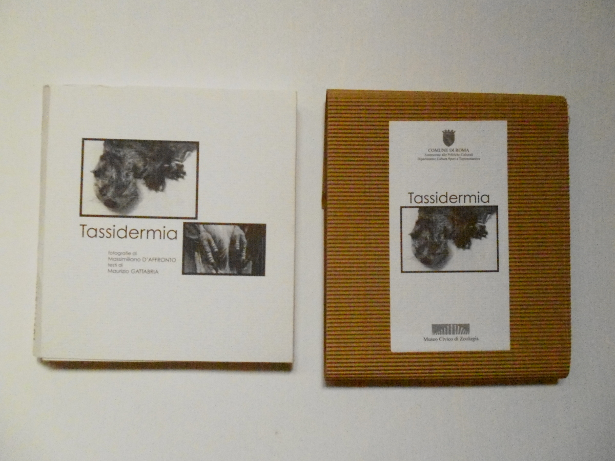 D'Affronto Gattabria Tassidermia Museo Civico di Zoologia 2001