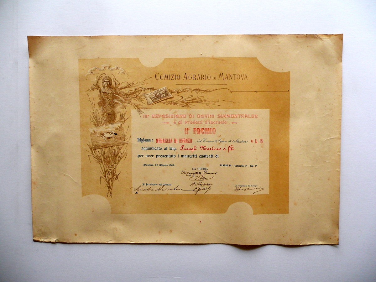 Diploma Comizio Agrario di Mantova II Premio Medaglia Bronzo Manzi …
