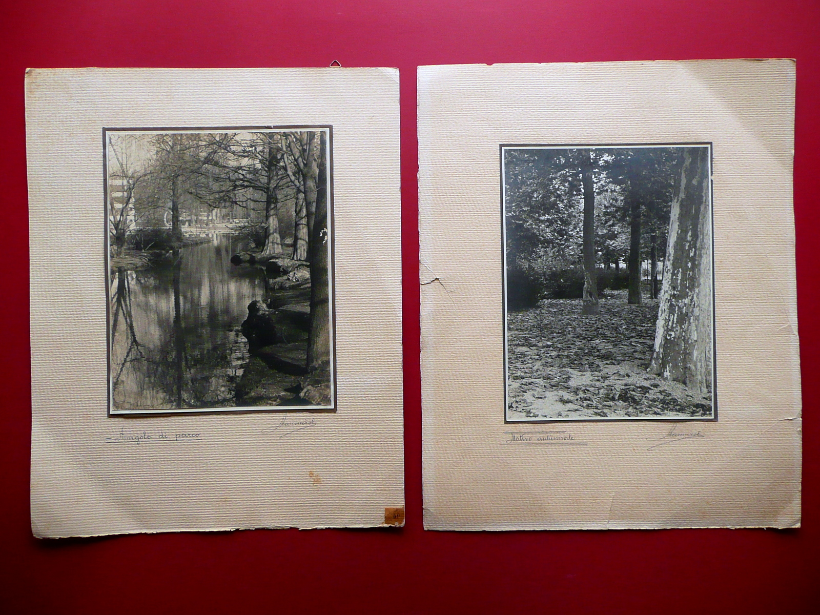 Due Fotografie Originali Mostra Fotografica GUF Modena PNF C.A.I. 1940 …