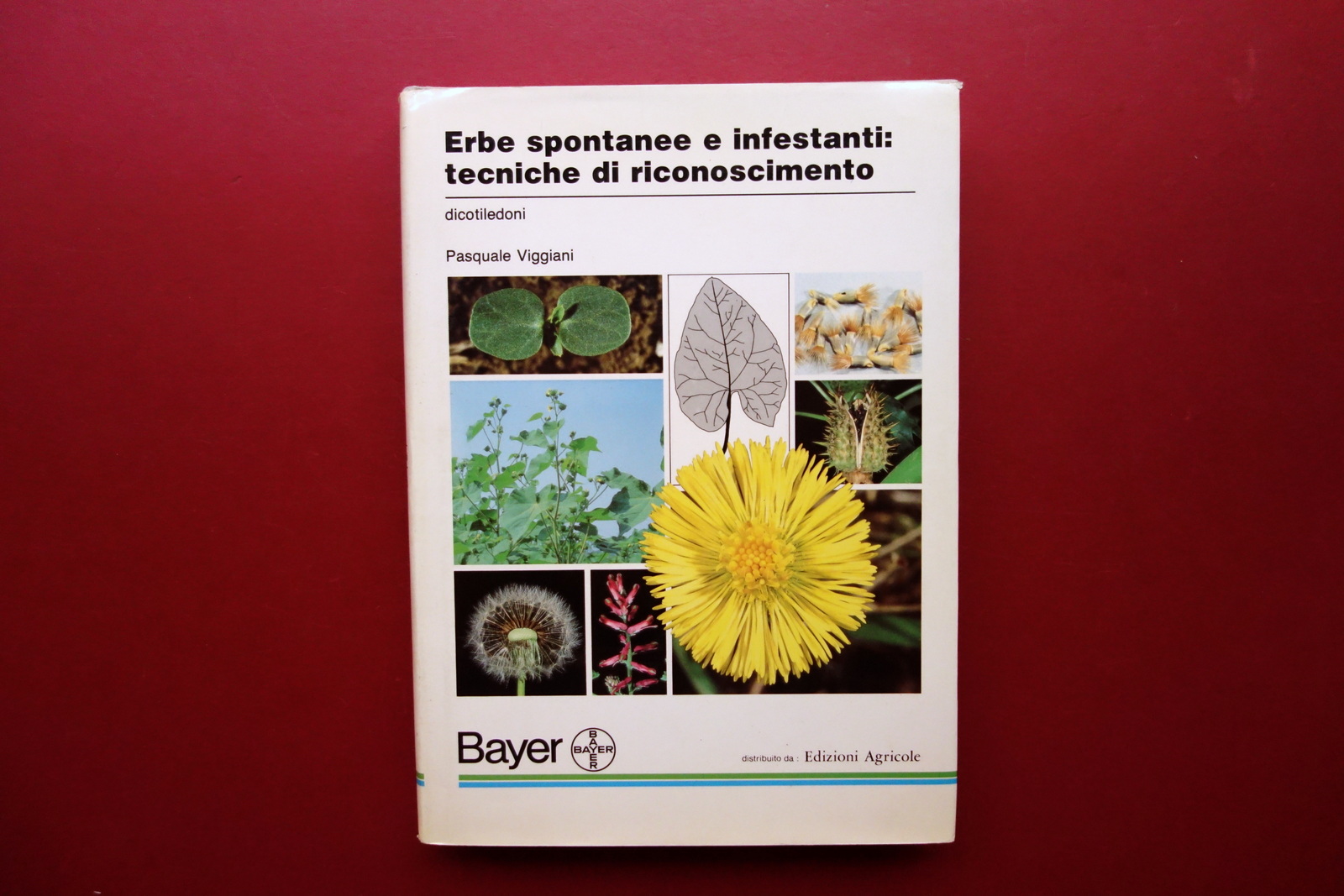 Erbe Spontanee e Infestanti Tecniche di Riconoscimento Dicotiledoni Bayer 1990