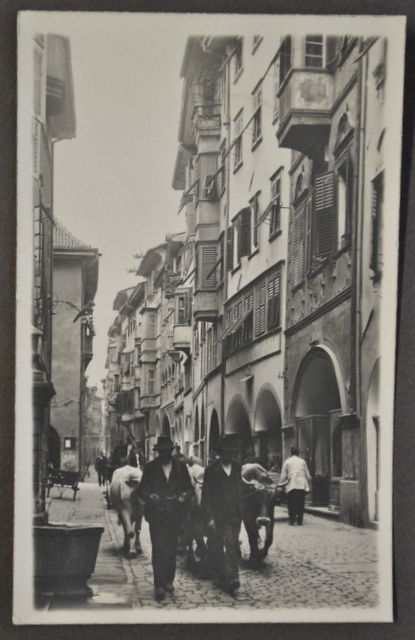 Foto Cartolina Alto Adige Tirolo Bolzano Bozen Carro Buoi Animata …