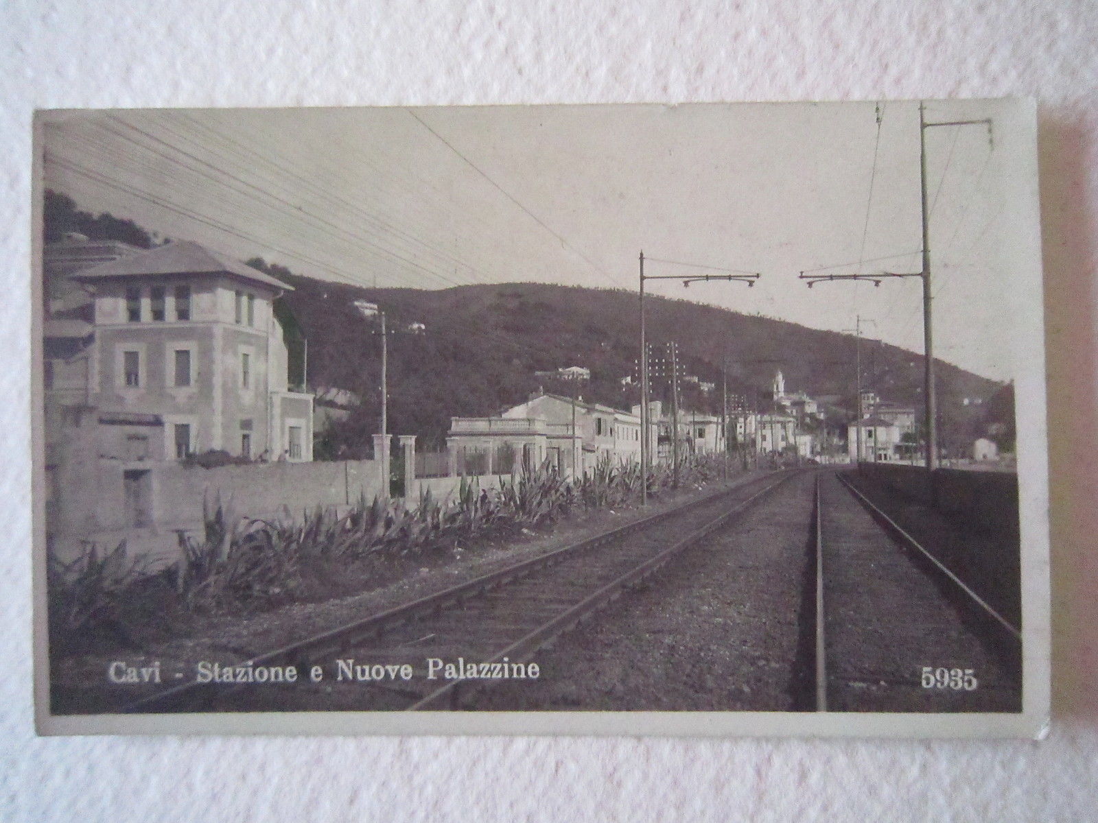 Foto Cartolina Locale anni '20 Liguria Genova Cavi di Lavagna …