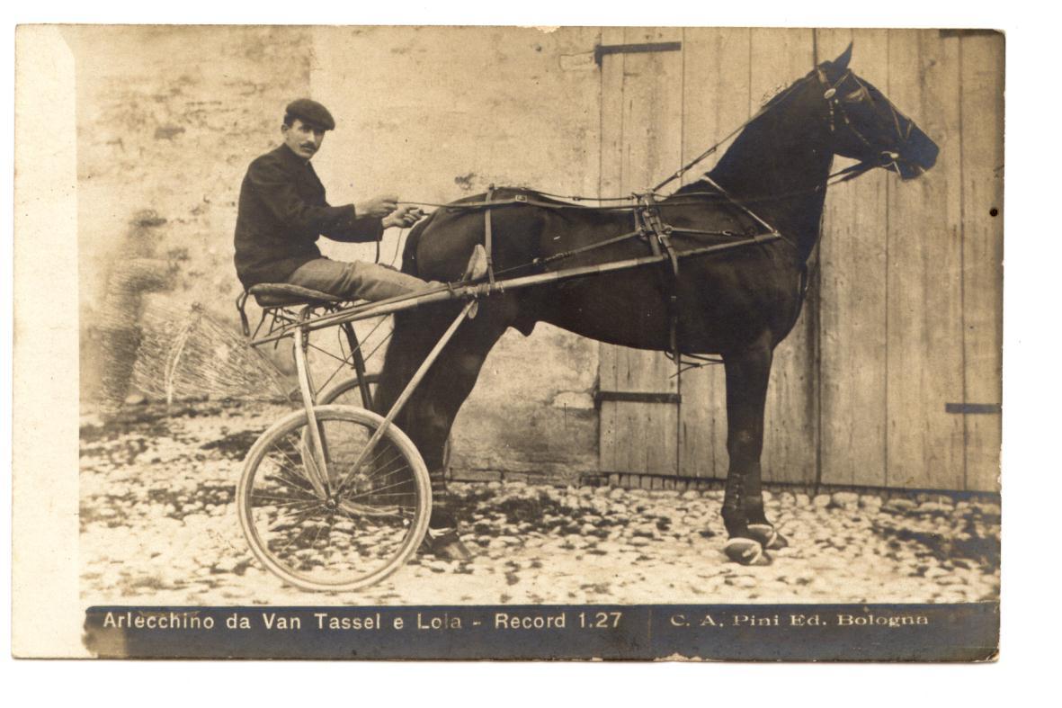 Fotocartolina Arlecchino da Van Tassel e Lola Record non viaggiata …