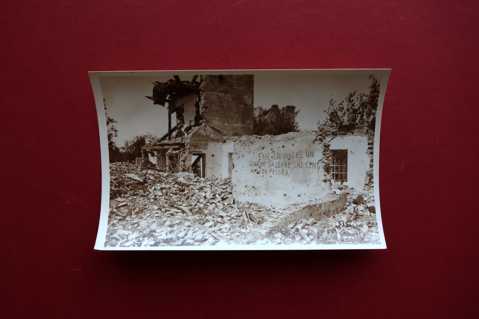 Fotocartolina Originale WW1 Rudere Meglio Vivere un Giorno da Leone …