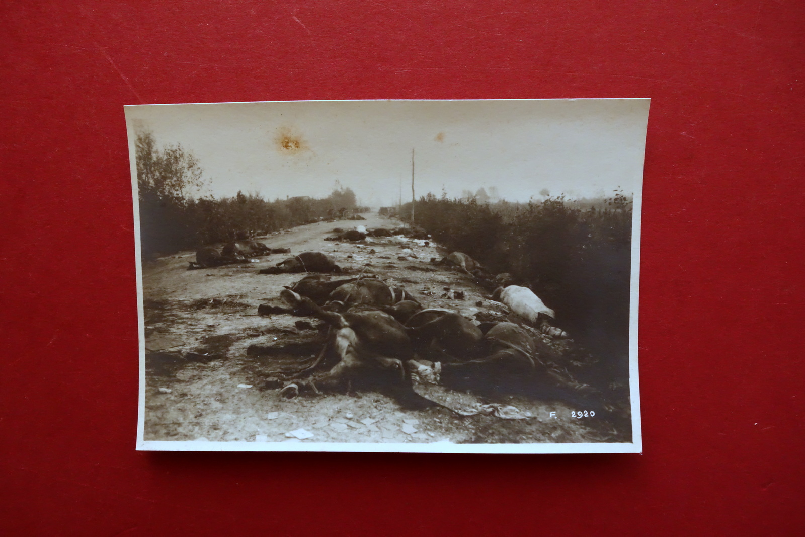 Fotografia Originale La Ritirata Austriaca WW1 1∞ Guerra Mondiale 1918
