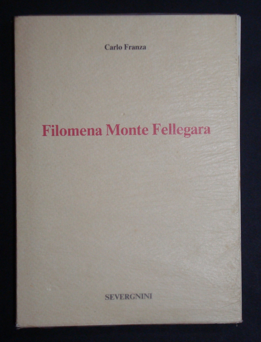 FRANZA CARLO FILOMENA MONTE FELLEGARA SEVERGNINI 1990 PITTURA ARTE ABRUZZO