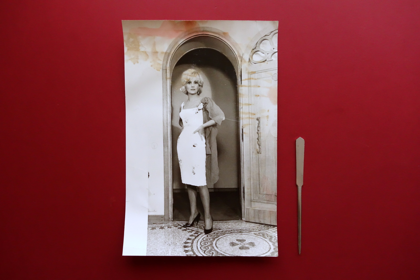 Gina Lollobrigida Grande Fotografia Foto Glauco Cortini Primi Anni '60