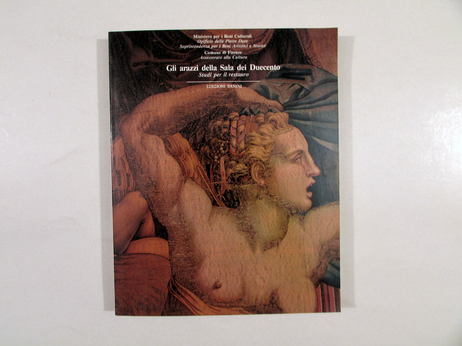Gli Arazzi della Sala dei Duecento Firenze Studi per il …