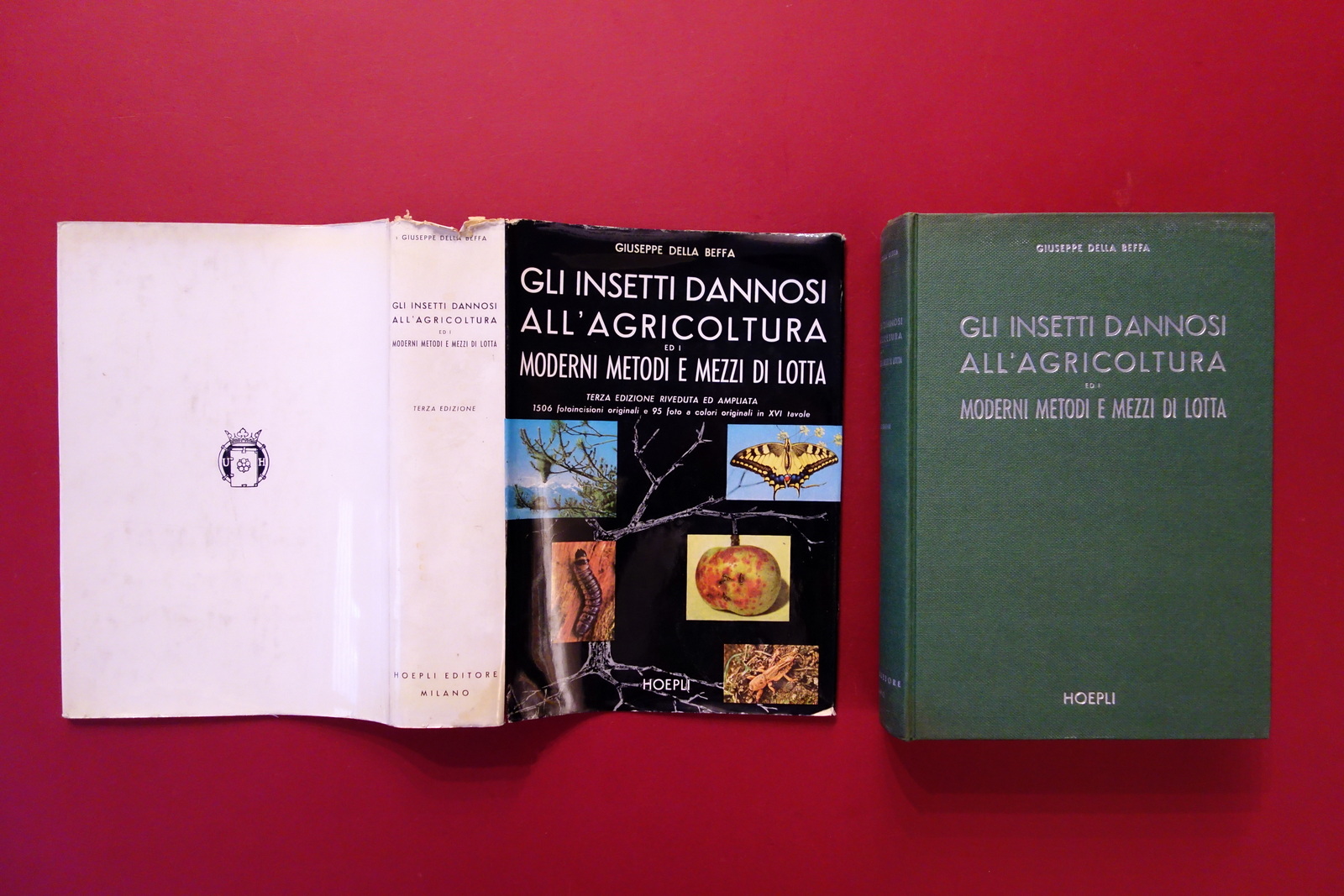 Gli Insetti Dannosi all'Agricoltura Moderni Metodi e Mezzi di Lotta …