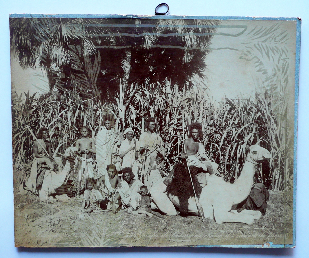 Grande Fotografia Gruppo di Bisciarini Egitto Campo Canna da Zucchero …