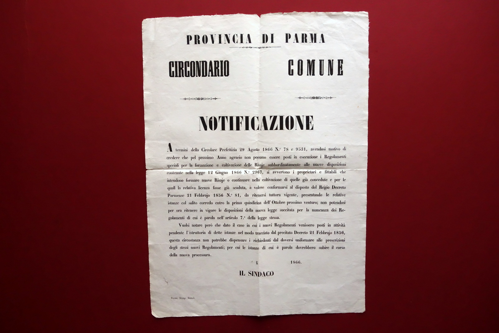 Grida Provincia di Parma Risaie Regolamenti Disposizioni in Vigore Donati …