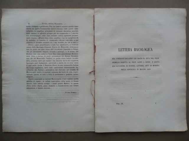 Grimelli Lettera Bacologica Bachi Seta Malanno Luppi Lione Accademia Modena …