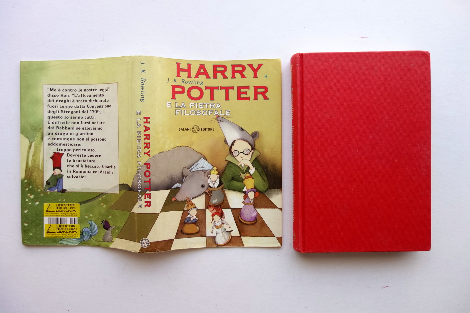 Harry Potter e la Pietra Filosofale J.K. Rowling Salani 2000 …