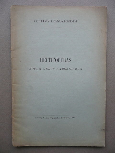 Hecticoceras Novum Genus Ammonidarum Guido Bonarelli Geologia Modena 1893 Tavola
