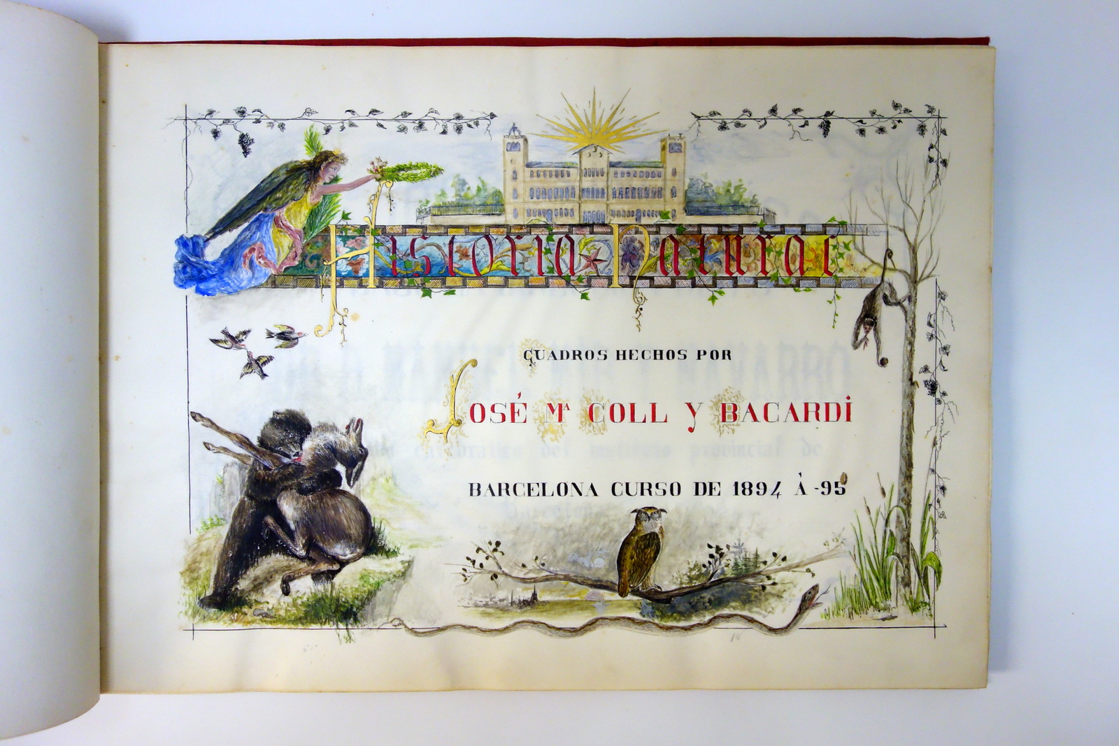 Historia Natural Jose Coll Y Bacardi Barcelona 1894-95 Album Manoscritto …