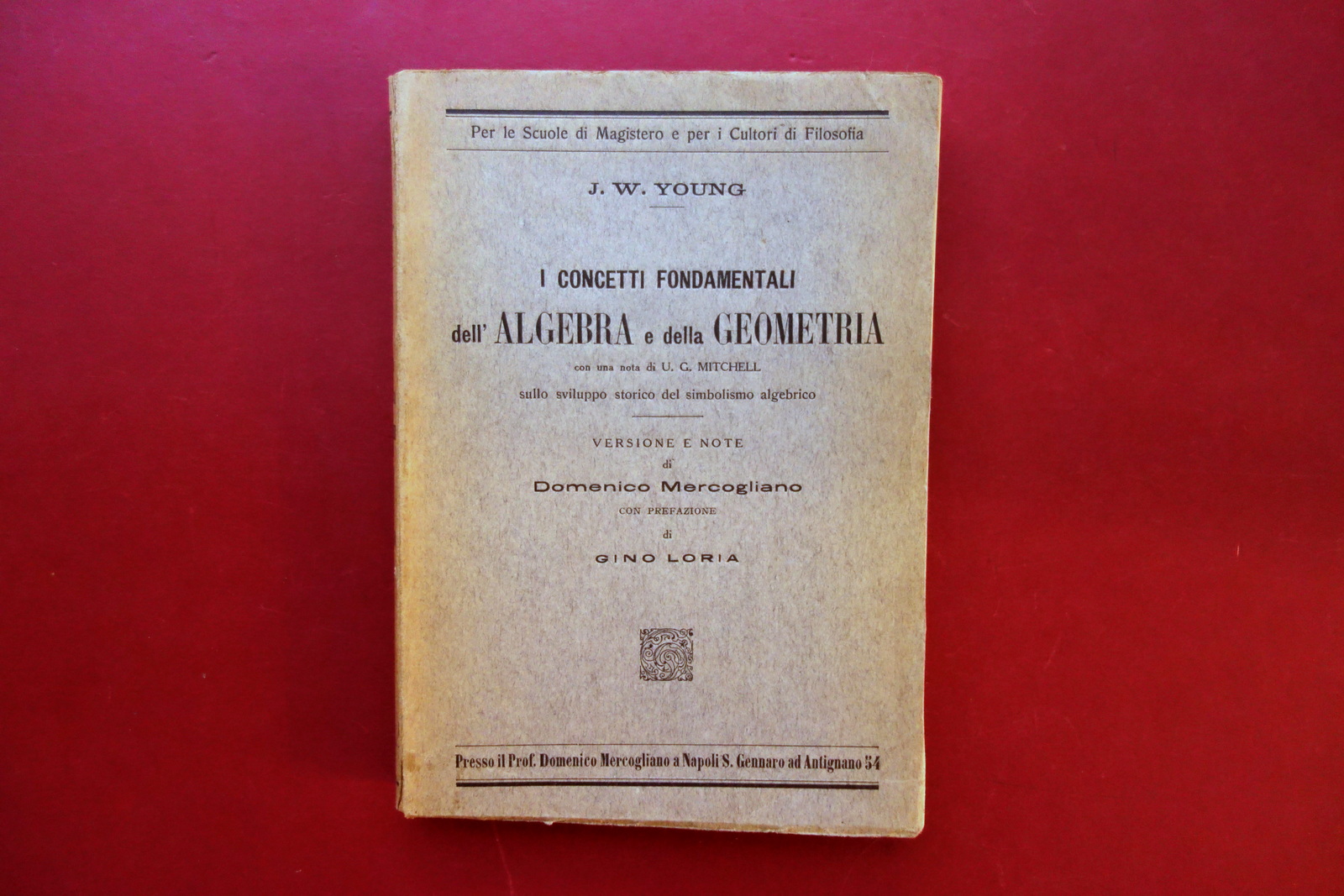 I Concetti Fondamentali dell'Algebra e Geometria J. W. Young Pierro …