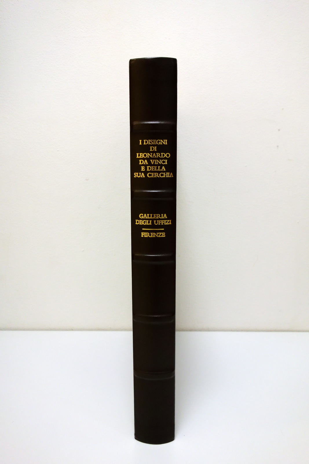 I Disegni di Leonardo da Vinci nella Galleria degli Uffizi …