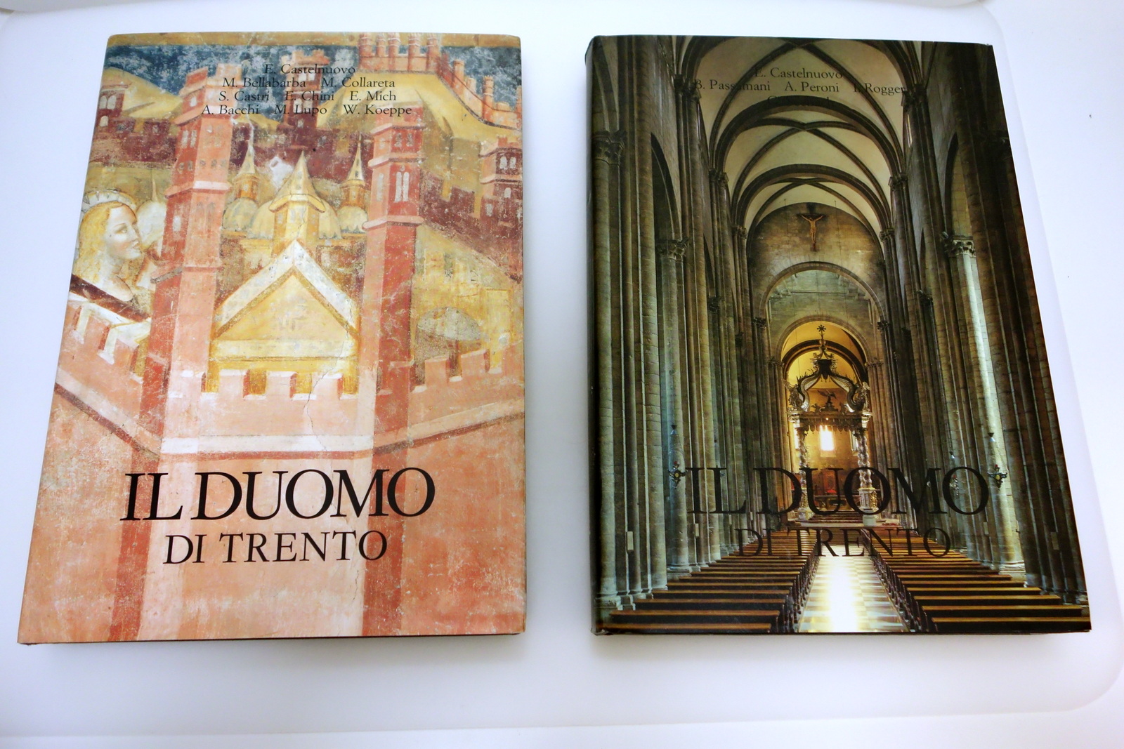 IL DUOMO DI TRENTO ARCHITETTURA SCULTURA PITTURE ARREDI TEMI EDITRICE …
