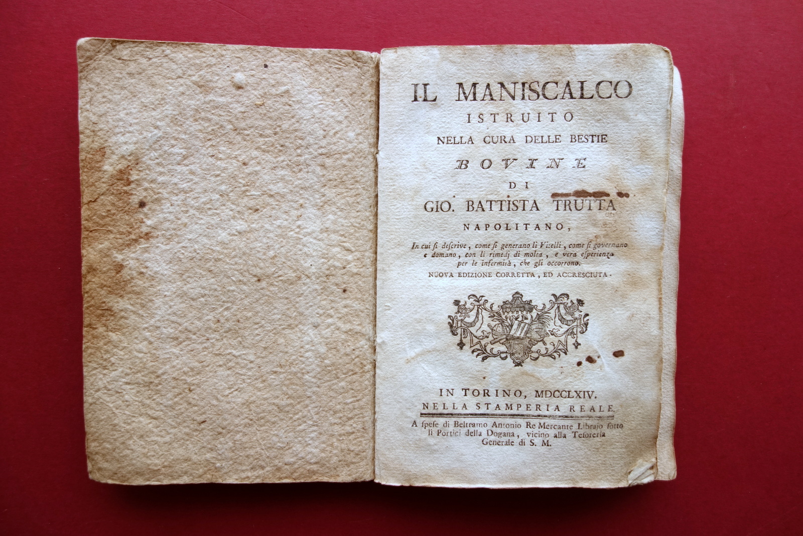 Il Maniscalco Istruito cura delle Bestie Bovine Trutta Napoletano Torino …