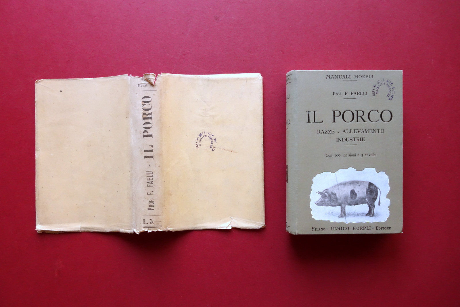 Il Porco Razze Allevamento Industrie F. Faelli Hoepli Milano 1911 …