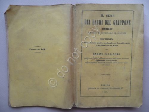 Il Seme dei Bachi del Giappone Caloandro Torino 1865 Seta …