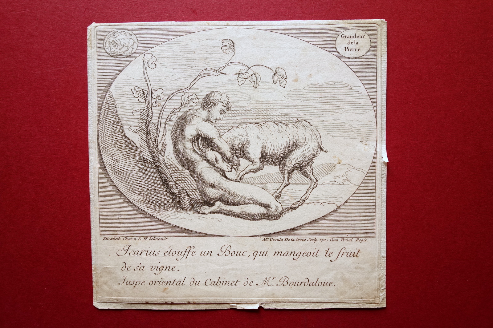 Incisione Originale Icaro Soffoca una Capra Cheron Ursula de la …