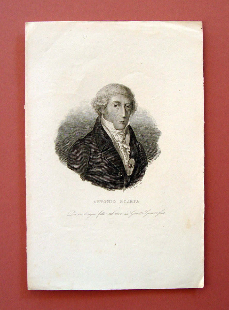 Incisione su rame Antonio Scarpa prima met‡ Ottocento