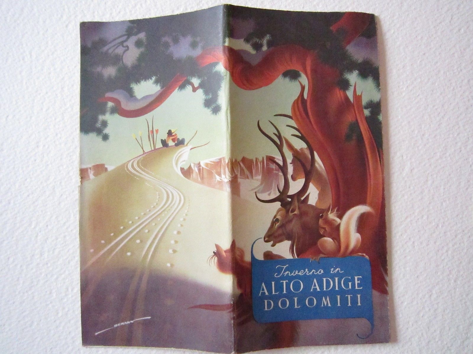 Inverno In Alto Adige Dolomiti scipi pianta montagna 1940 Brossura …