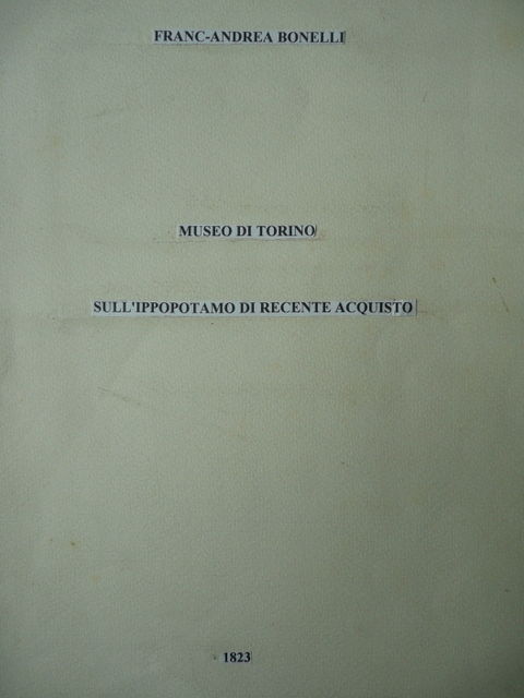 Ippopotamo Bonelli Museo Storia Naturale Torino 1823 Zoologia Animali