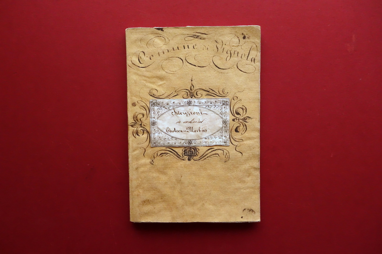 Istruzioni in Ordine al Cholera Vignola Modena Raccolta di Opuscoli …