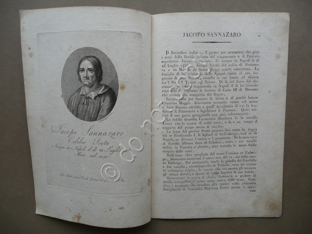 Jacopo Sannazaro Celebre Poeta Ritratto Biografia Nicola Gervasi Napoli Poesia