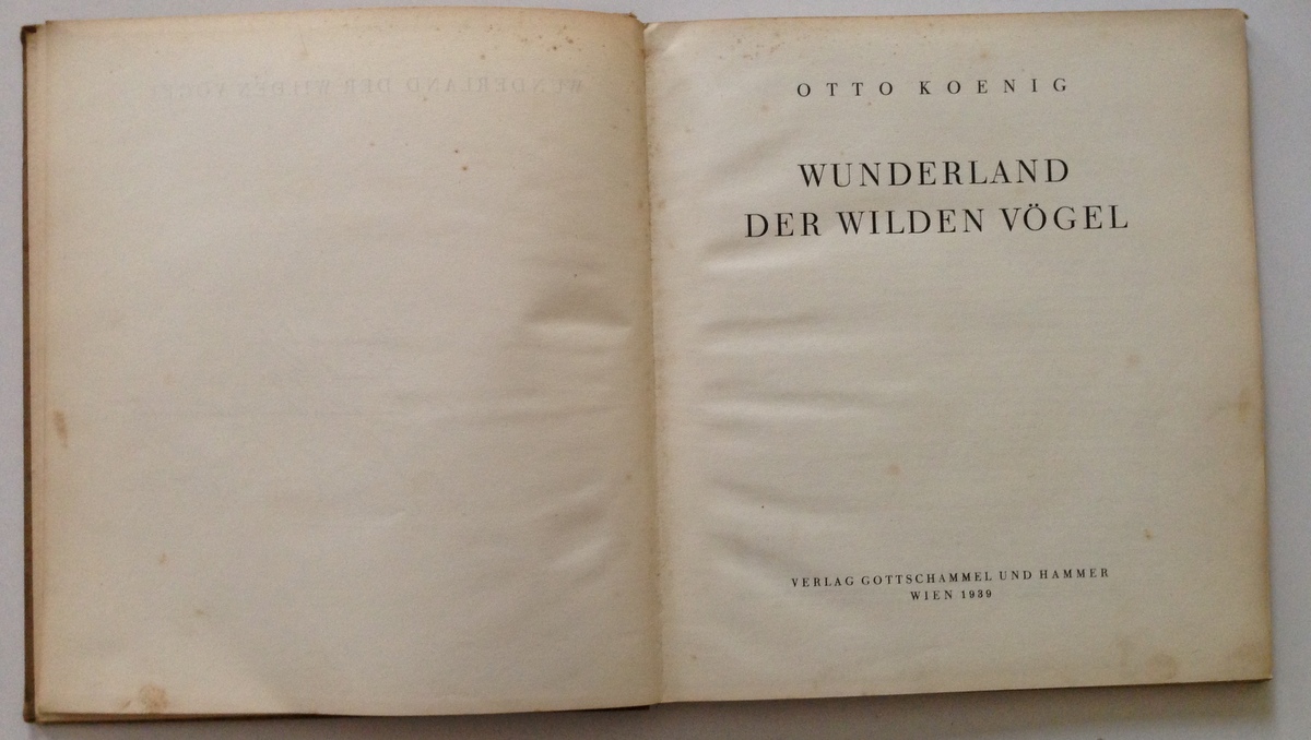 KOENIG OTTO WUNDERLAND DER WILDEN VOEGEL WIEN VERLAG GOTTSCHAMMEL 1939