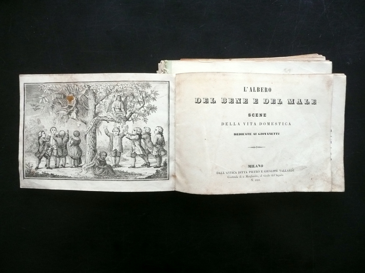 L'Albero del Bene e del Male Scene della Vita Domestica …