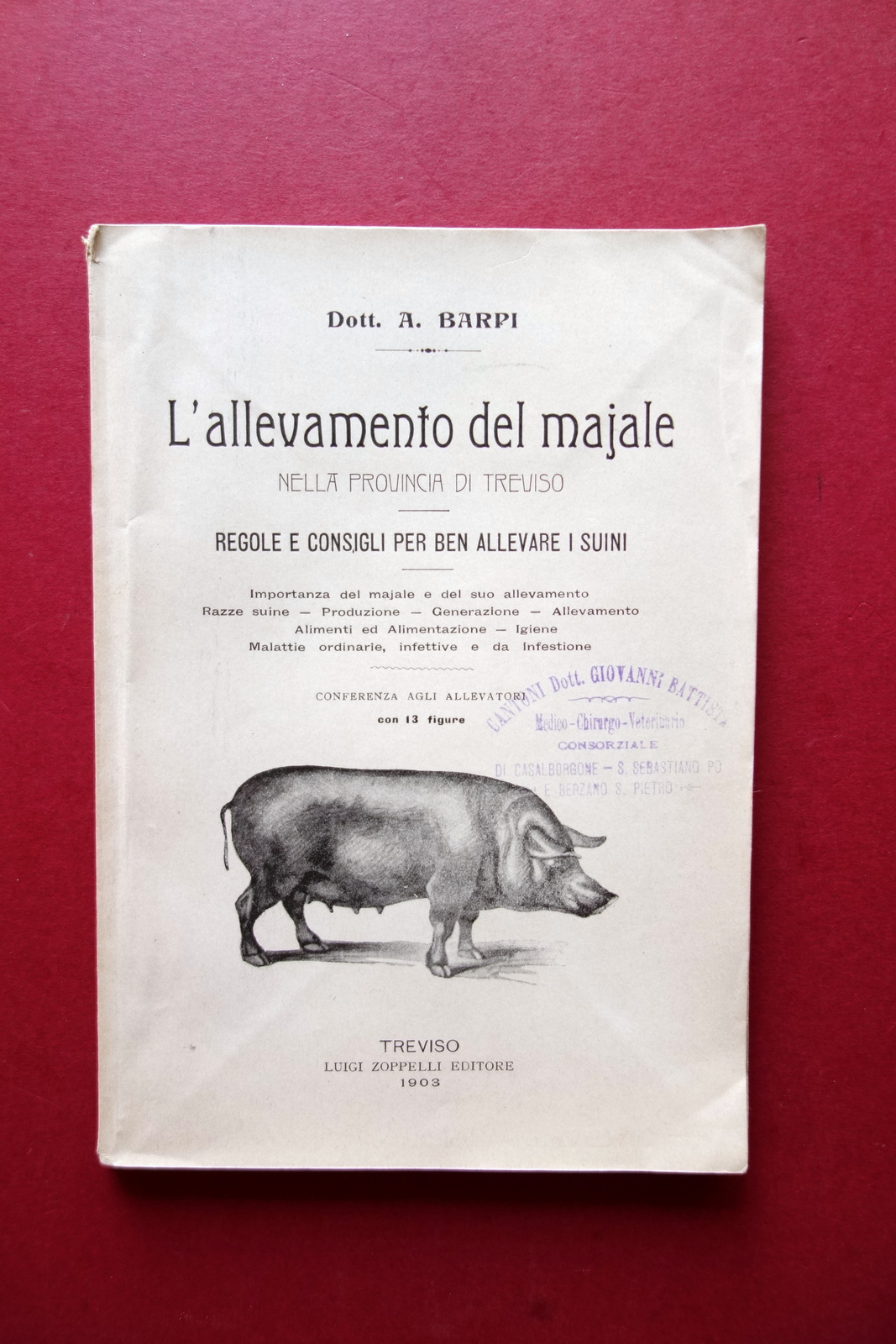 L'Allevamento del Maiale nella Provincia di Treviso A. Barpi Zoppelli …