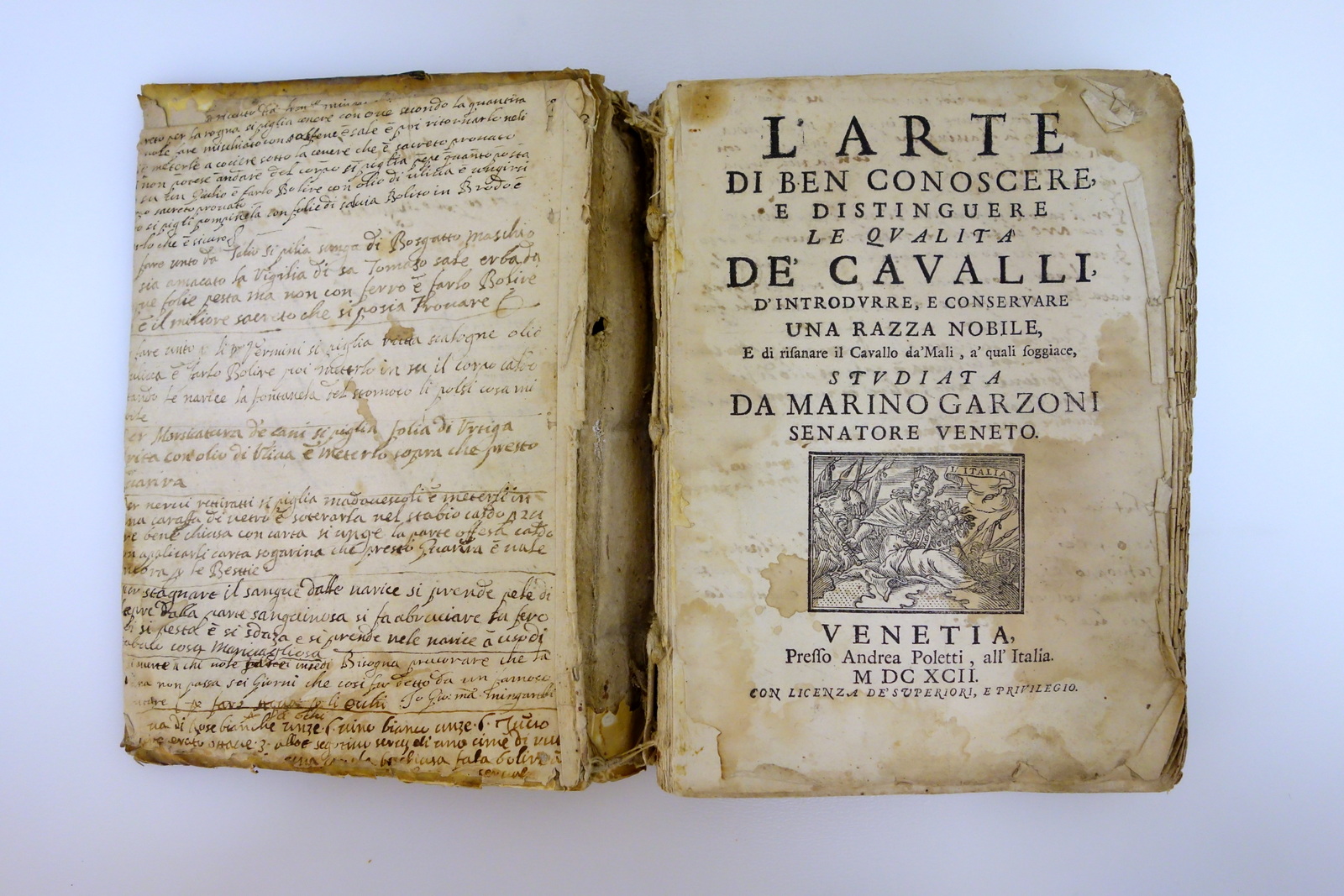 L'Arte di Conoscere e Distinguere le Qualità dei Cavalli Garzoni …