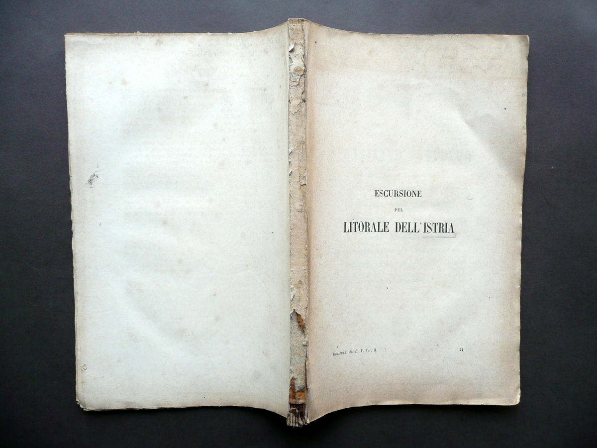 L'Escursione del Litorale dell'Istria Illustrazione del Lombardo Veneto 1858