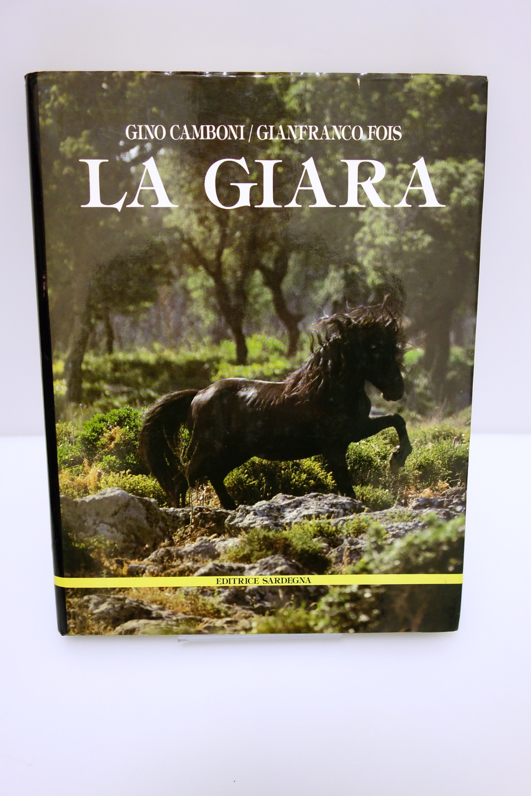 LA GIARA CAMBONI FOIS BADAS DE MARTIS SCHENK EDITRICE SARDEGNA …