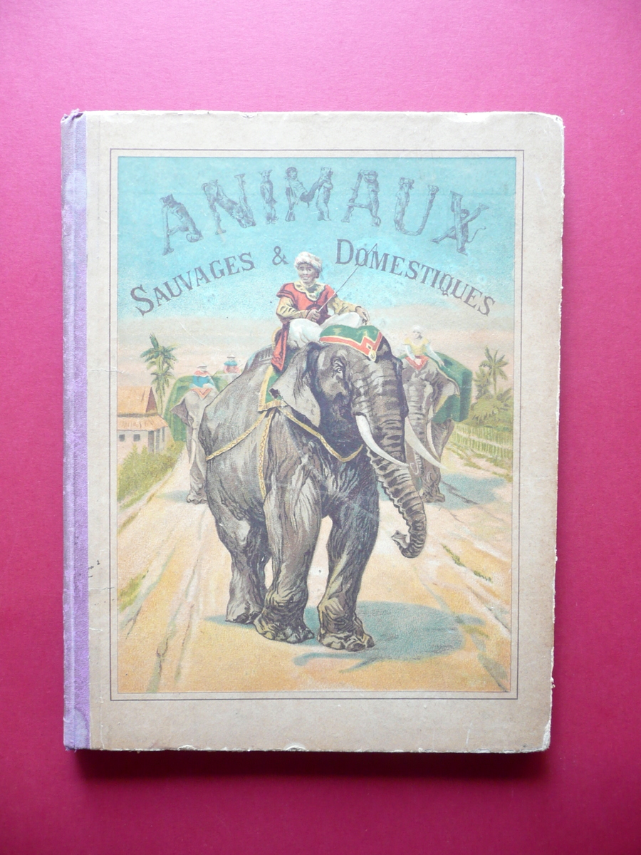 Les Animaux Sauvages et Domestiques Pour les Enfants Garnier Paris …