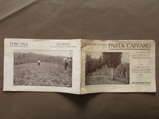 Libretto Pubblicit‡ Pasta Caffaro Vignale Monferrato Bra Conegliano Empoli 1915