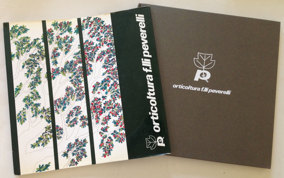 M. Fraschini Orticoltura Fratelli Peverelli Illustrazioni Paolo Costa 1980