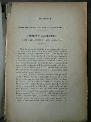 Malacologia As. Piceno Molluschi conchigliferi Pizzo di Sivio Monte Fiori …