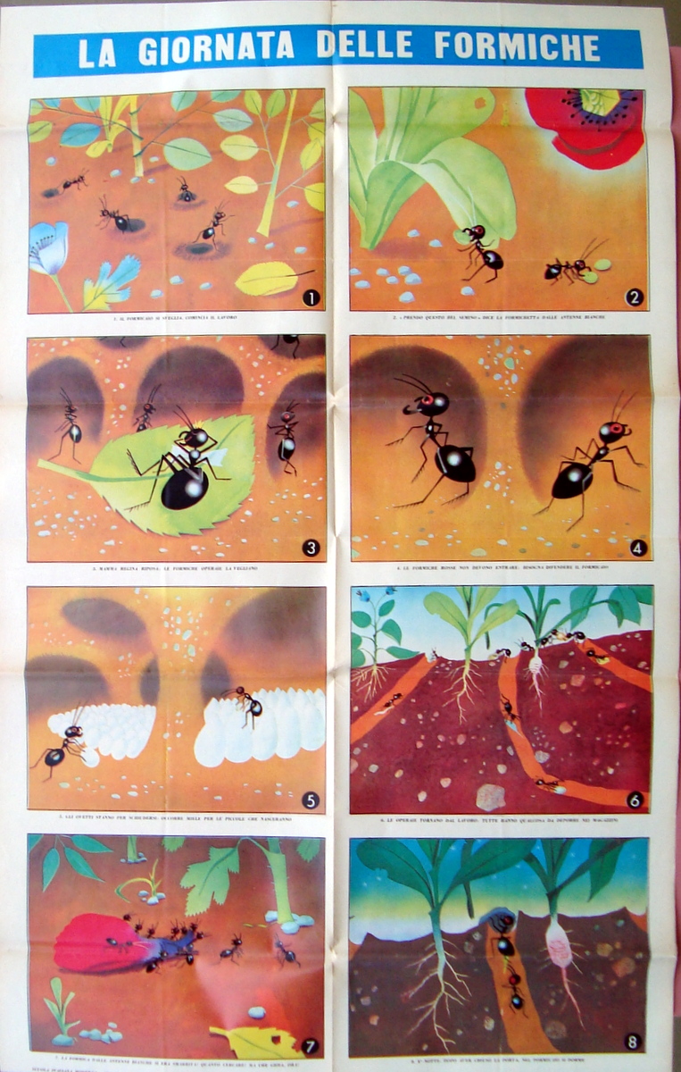 Manifesto Scolastico La Giornata delle formiche 1959 La Scuola Editrice …