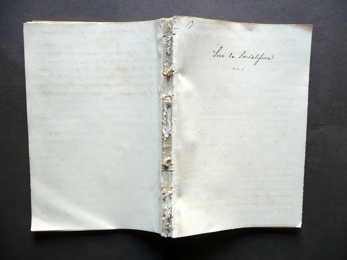 Manoscritto Sur le Socialisme Socialismo Internazionale 1870-80 Politica