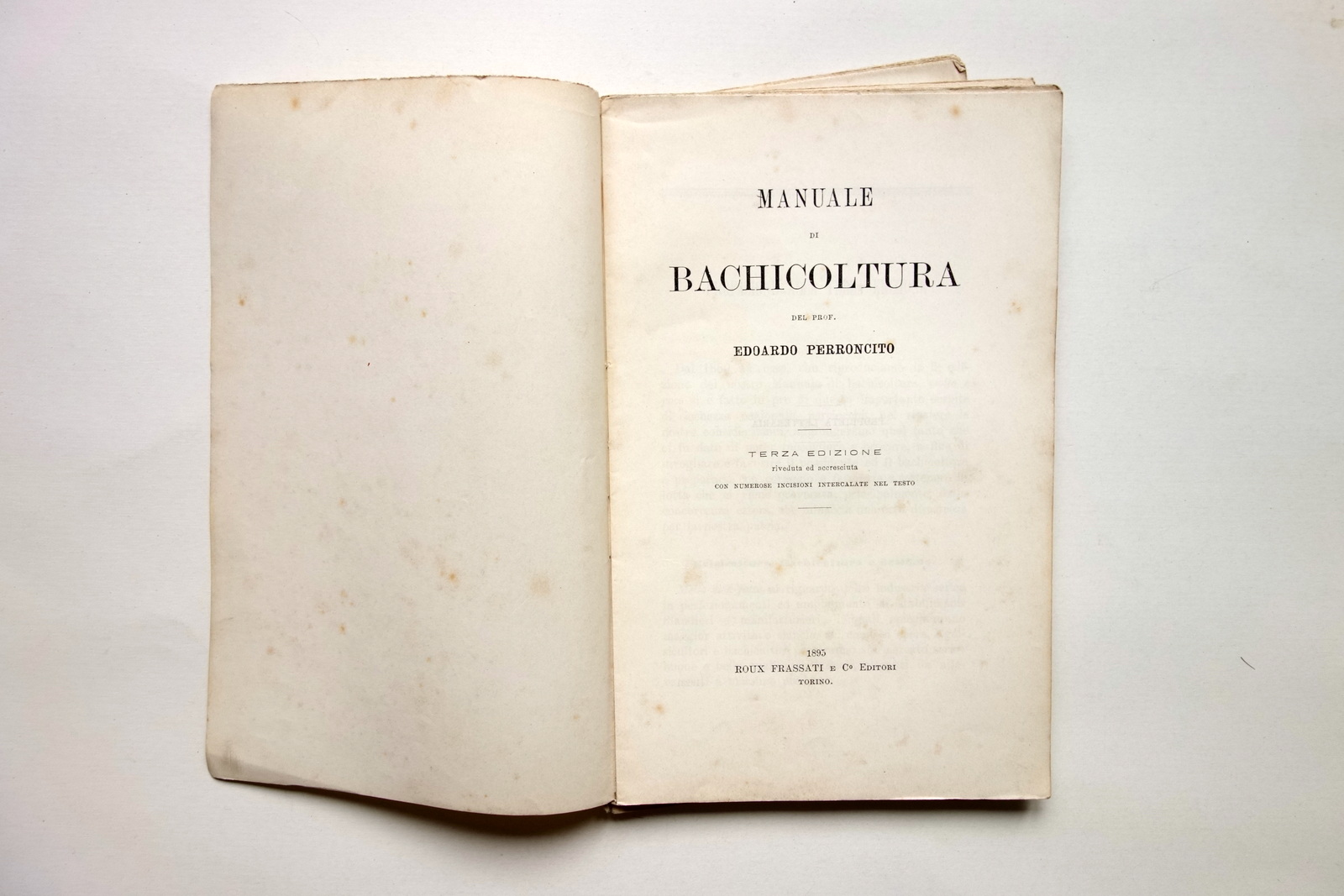 Manuale di Bachicoltura del prof. Edoardo Perroncito Roux Frassati Torino …