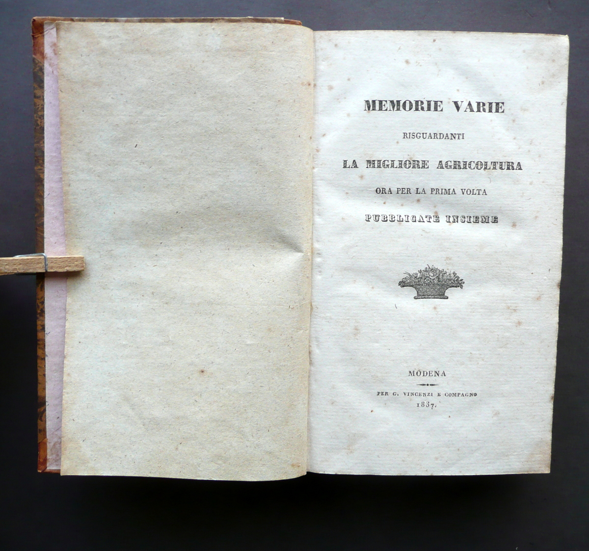 Memorie Varie Risguardanti La Migliore Agricoltura Vincenzi Modena 1837 Savani