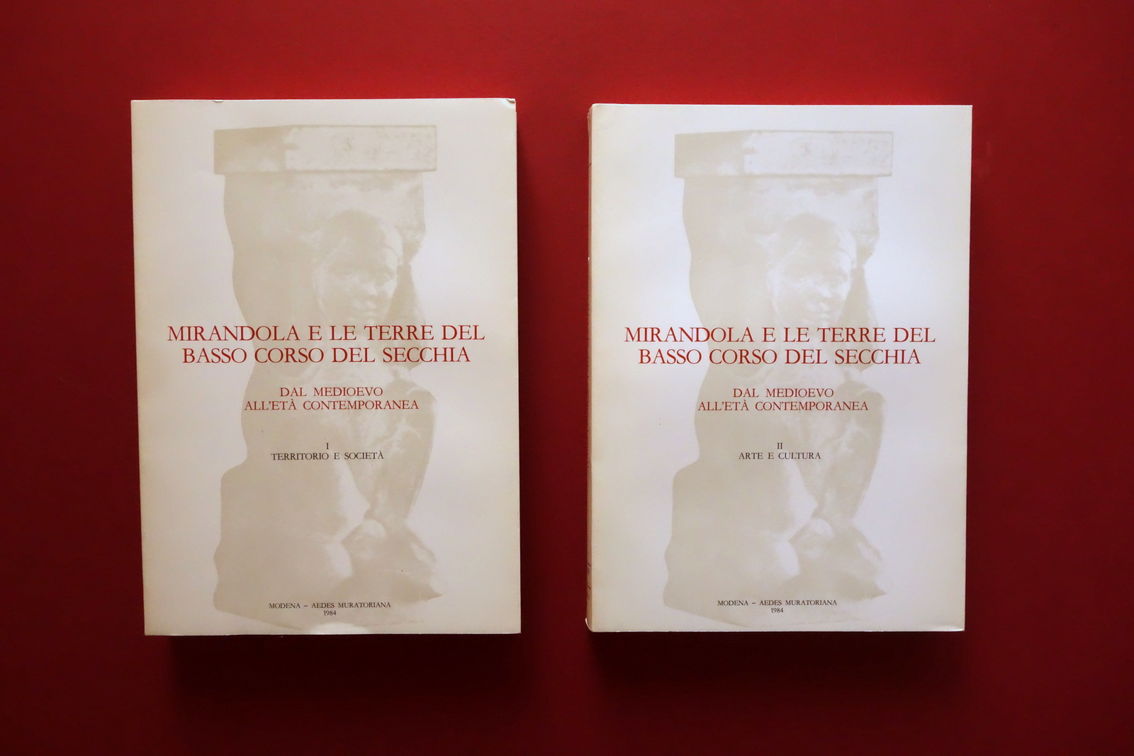 Mirandola e le Terre del Basso Corso del Secchia Aedes …