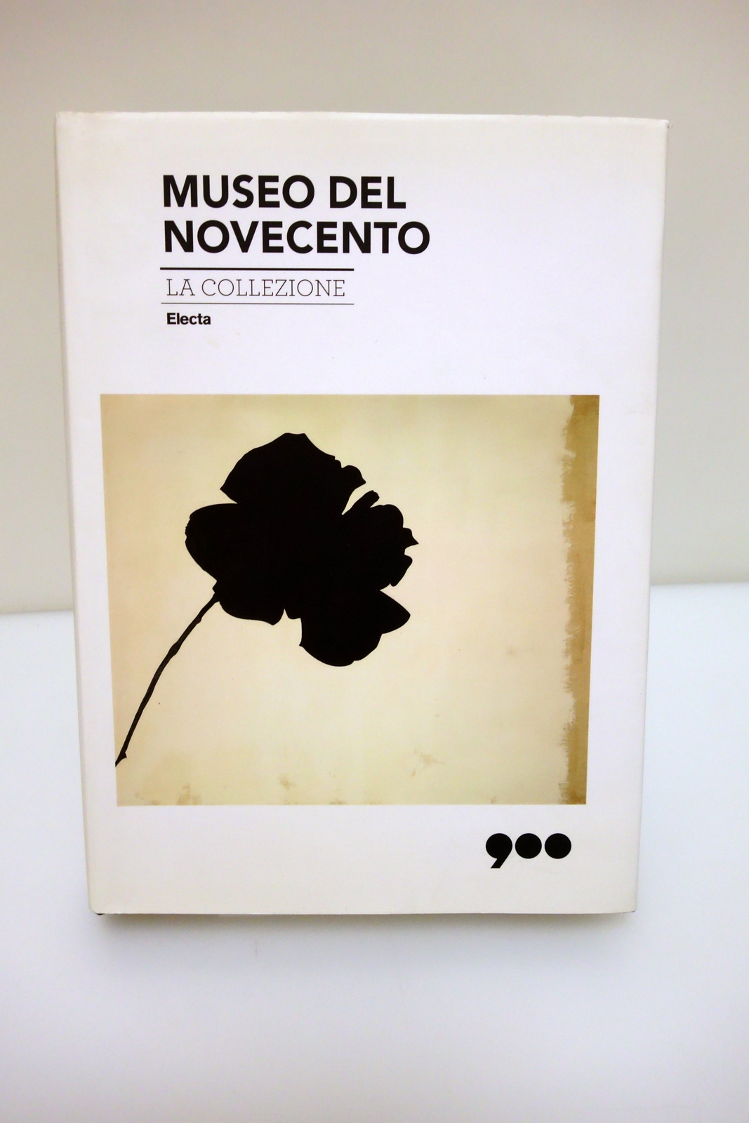 MUSEO DEL NOVECENTO LA COLLEZIONE ELECTA 2011