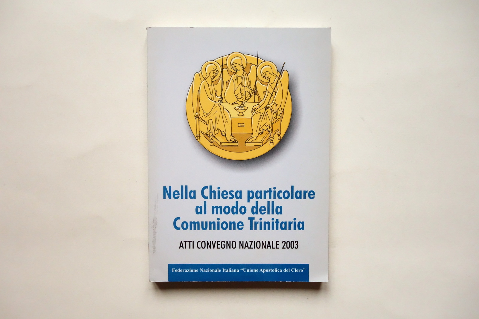 Nella Chiesa Particolare al Modo della Comunione Trinitaria Atti Convegno …